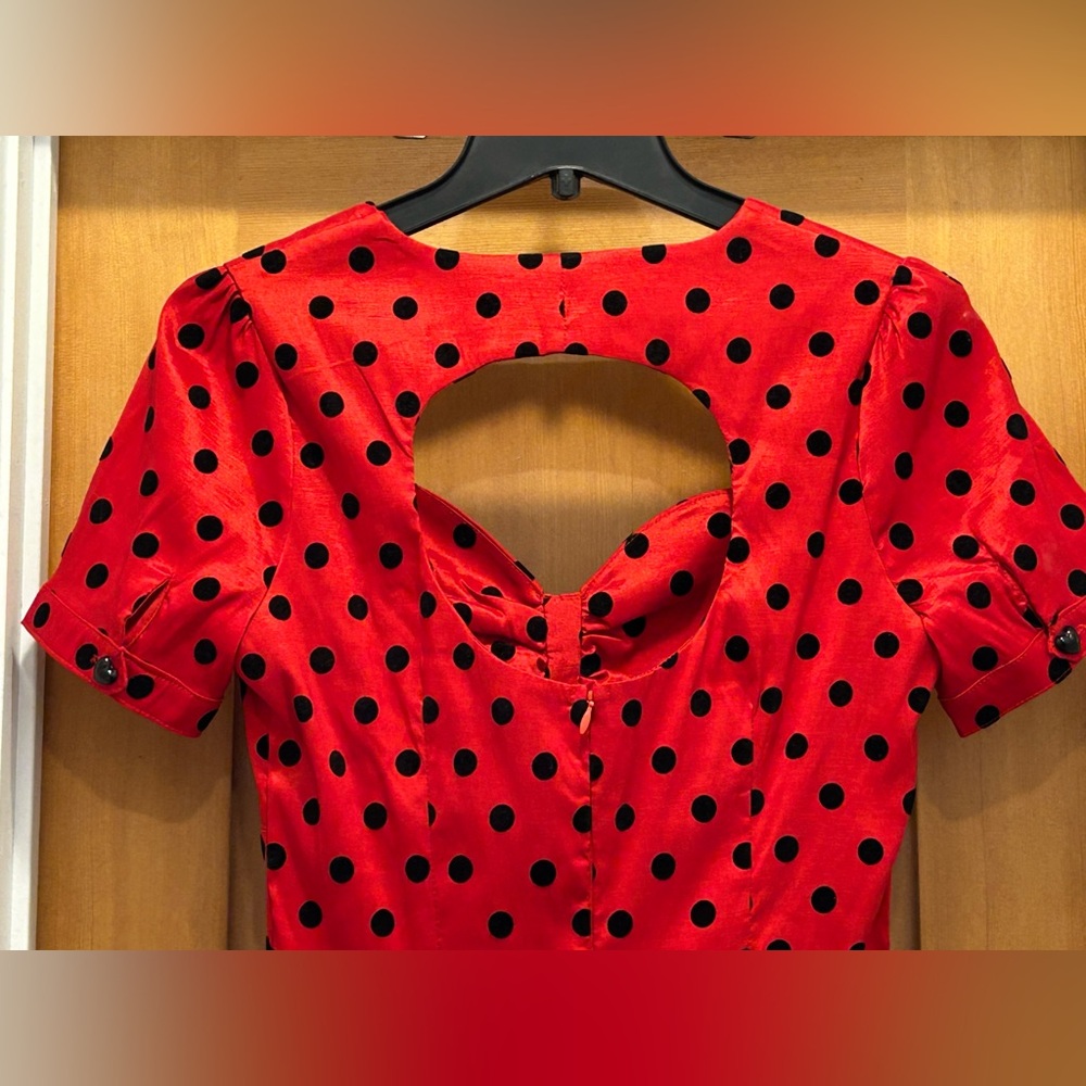 Red Polka Dot Dress - Picture 3 of 3